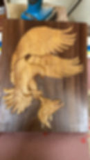 Eagle and Fish