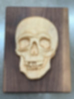 Skull Plaque